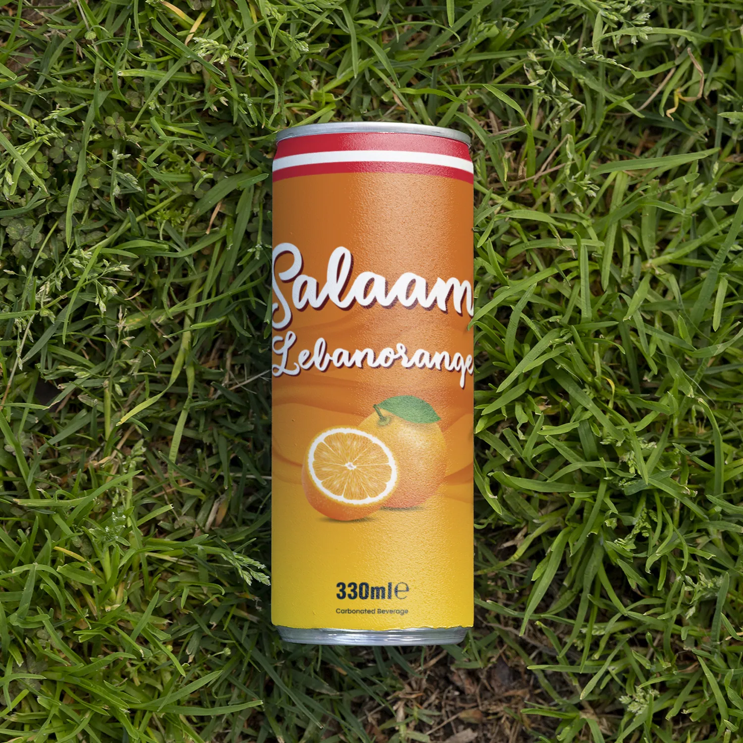 Salaam Lebanorange - Image 3